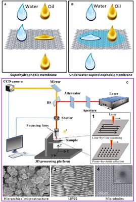 Femtosecond Laser Microfabrication of Porous Superwetting Materials for Oil/Water Separation: A Mini-Review